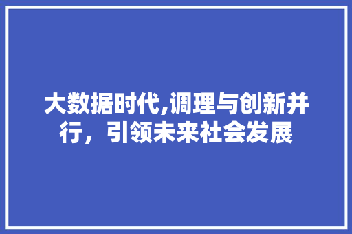 大数据时代,调理与创新并行，引领未来社会发展