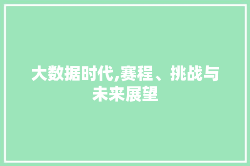 大数据时代,赛程、挑战与未来展望 头条优化