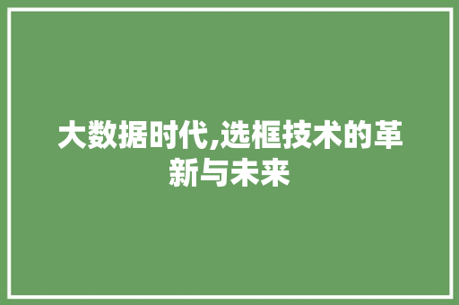 大数据时代,选框技术的革新与未来 seo技术