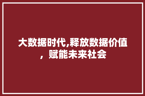 大数据时代,释放数据价值，赋能未来社会 360搜优化