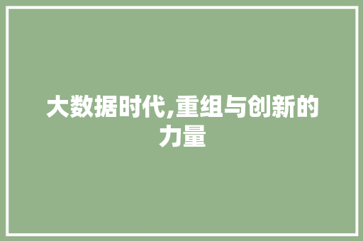 大数据时代,重组与创新的力量 AI技术学习