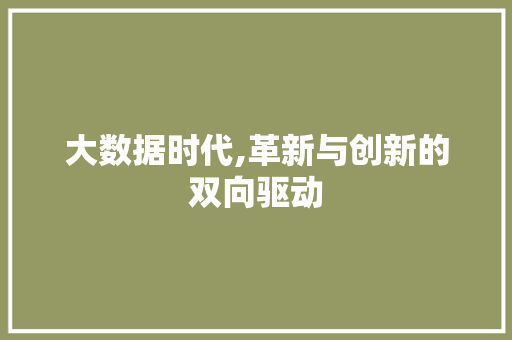 大数据时代,革新与创新的双向驱动 小程序开发