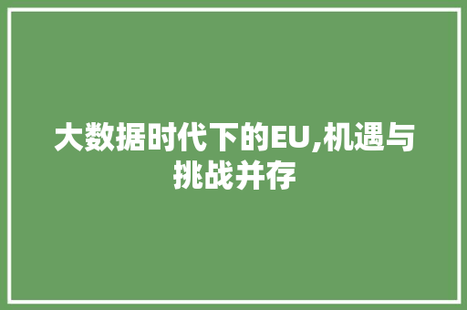 大数据时代下的EU,机遇与挑战并存 360搜优化