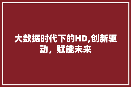 大数据时代下的HD,创新驱动，赋能未来 seo技术