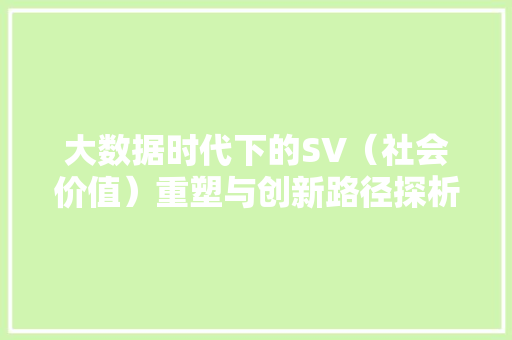 大数据时代下的SV（社会价值）重塑与创新路径探析
