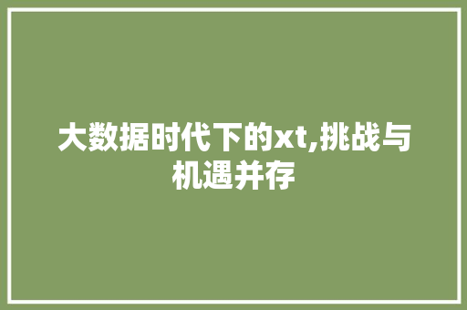 大数据时代下的xt,挑战与机遇并存