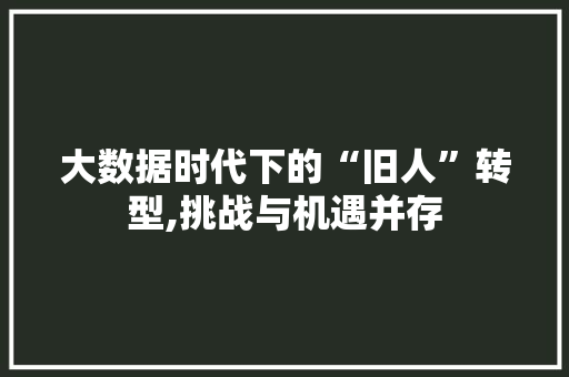 大数据时代下的“旧人”转型,挑战与机遇并存 网站优化
