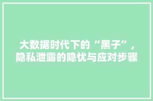 大数据时代下的“黑子”,隐私泄露的隐忧与应对步骤