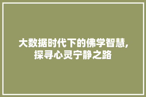 大数据时代下的佛学智慧,探寻心灵宁静之路 网站优化