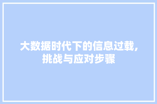 大数据时代下的信息过载,挑战与应对步骤 英文谷歌算法