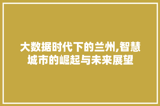 大数据时代下的兰州,智慧城市的崛起与未来展望