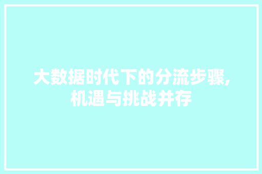 大数据时代下的分流步骤,机遇与挑战并存 小程序开发