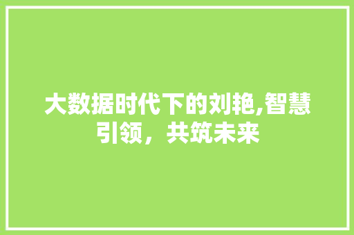 大数据时代下的刘艳,智慧引领，共筑未来 360搜优化