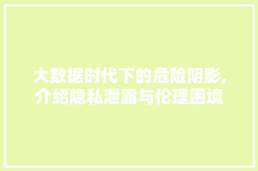 大数据时代下的危险阴影,介绍隐私泄露与伦理困境