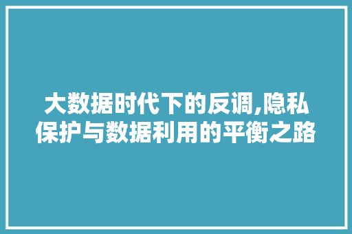 大数据时代下的反调,隐私保护与数据利用的平衡之路
