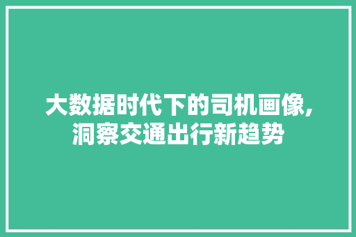 大数据时代下的司机画像,洞察交通出行新趋势