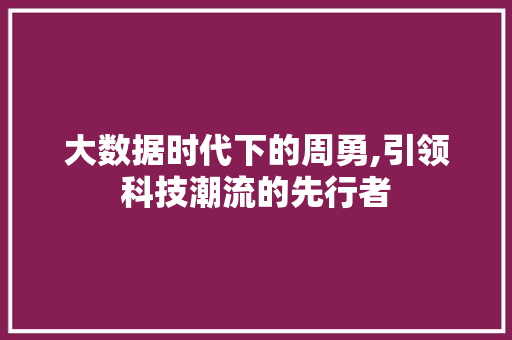 大数据时代下的周勇,引领科技潮流的先行者 网站开发