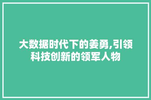 大数据时代下的姜勇,引领科技创新的领军人物 360搜优化