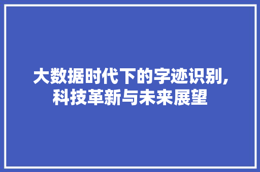大数据时代下的字迹识别,科技革新与未来展望 网站开发