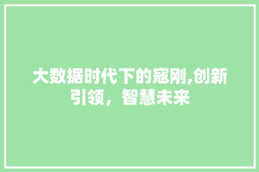 大数据时代下的寇刚,创新引领，智慧未来 百度算法