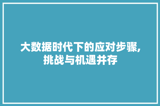 大数据时代下的应对步骤,挑战与机遇并存 seo技术