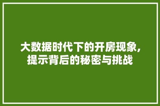 大数据时代下的开房现象,提示背后的秘密与挑战 英文谷歌算法