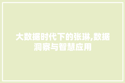 大数据时代下的张琳,数据洞察与智慧应用 搜狗优化