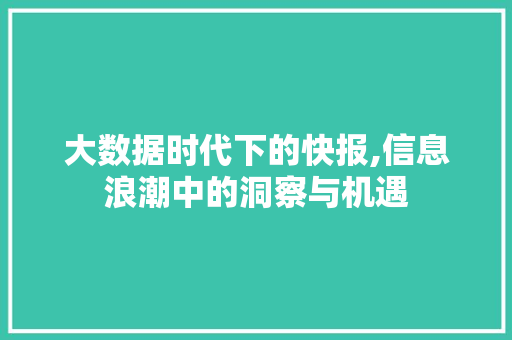 大数据时代下的快报,信息浪潮中的洞察与机遇 英文谷歌算法