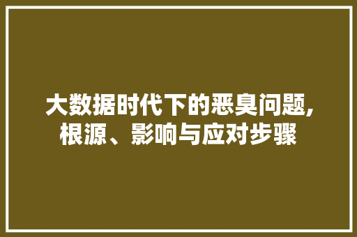 大数据时代下的恶臭问题,根源、影响与应对步骤 网站优化