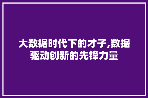 大数据时代下的才子,数据驱动创新的先锋力量 AI技术学习
