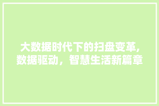 大数据时代下的扫盘变革,数据驱动，智慧生活新篇章 英文谷歌算法