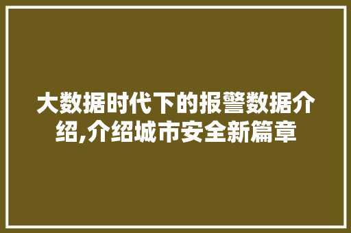 大数据时代下的报警数据介绍,介绍城市安全新篇章 seo技术