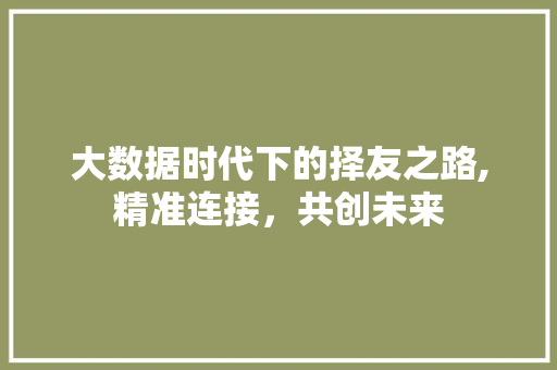 大数据时代下的择友之路,精准连接，共创未来 搜狗优化