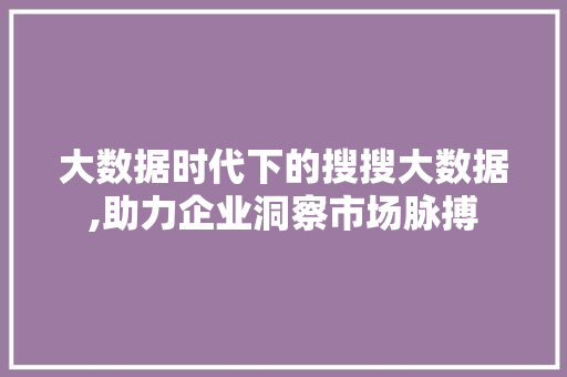 大数据时代下的搜搜大数据,助力企业洞察市场脉搏 小程序开发