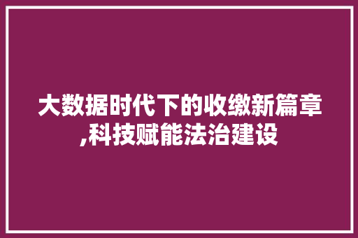 大数据时代下的收缴新篇章,科技赋能法治建设 头条优化
