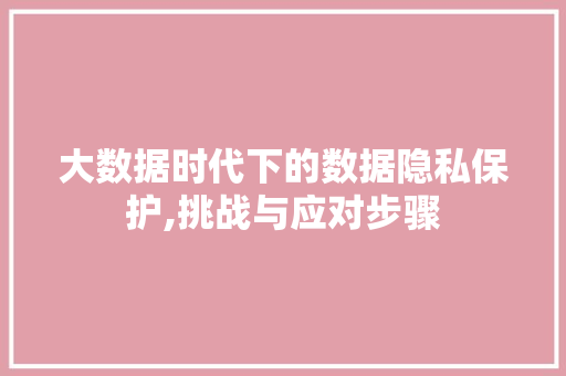 大数据时代下的数据隐私保护,挑战与应对步骤 百度算法