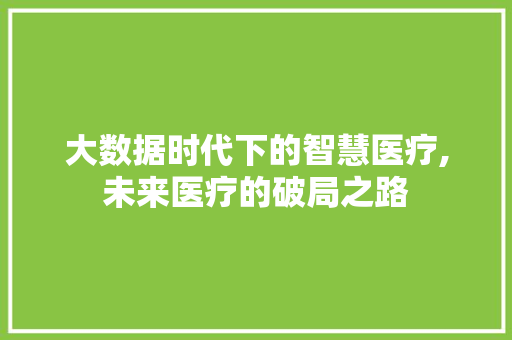 大数据时代下的智慧医疗,未来医疗的破局之路 seo技术