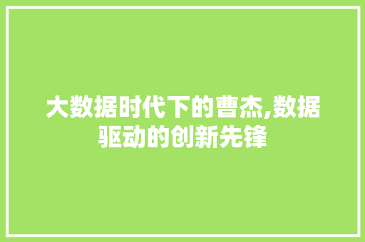 大数据时代下的曹杰,数据驱动的创新先锋 搜狗优化
