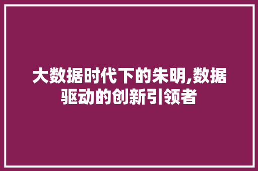 大数据时代下的朱明,数据驱动的创新引领者 网站开发