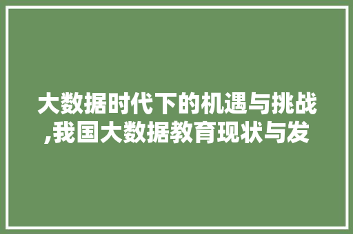 大数据时代下的机遇与挑战,我国大数据教育现状与发展前景 英文谷歌算法