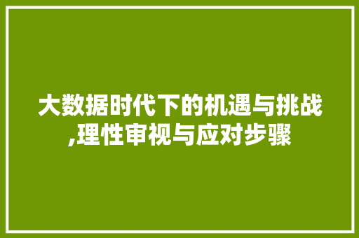 大数据时代下的机遇与挑战,理性审视与应对步骤 头条优化