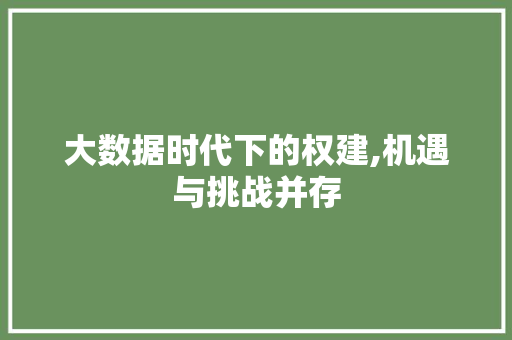 大数据时代下的权建,机遇与挑战并存 小程序开发