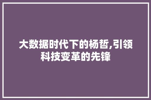 大数据时代下的杨哲,引领科技变革的先锋 小程序开发