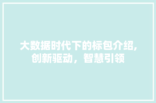 大数据时代下的标包介绍,创新驱动，智慧引领 头条优化
