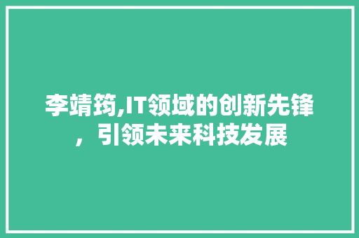 李靖筠,IT领域的创新先锋，引领未来科技发展