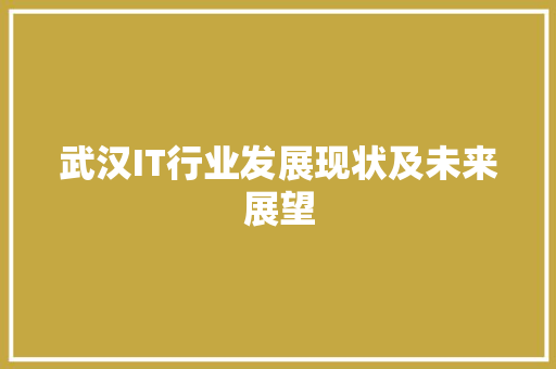 武汉IT行业发展现状及未来展望