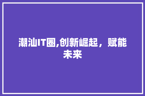 潮汕IT圈,创新崛起，赋能未来