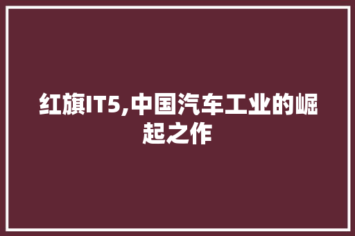 红旗IT5,中国汽车工业的崛起之作 网站开发