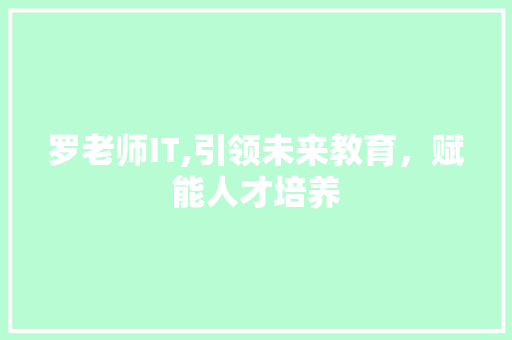 罗老师IT,引领未来教育，赋能人才培养 seo技术