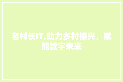 老村长IT,助力乡村振兴，赋能数字未来